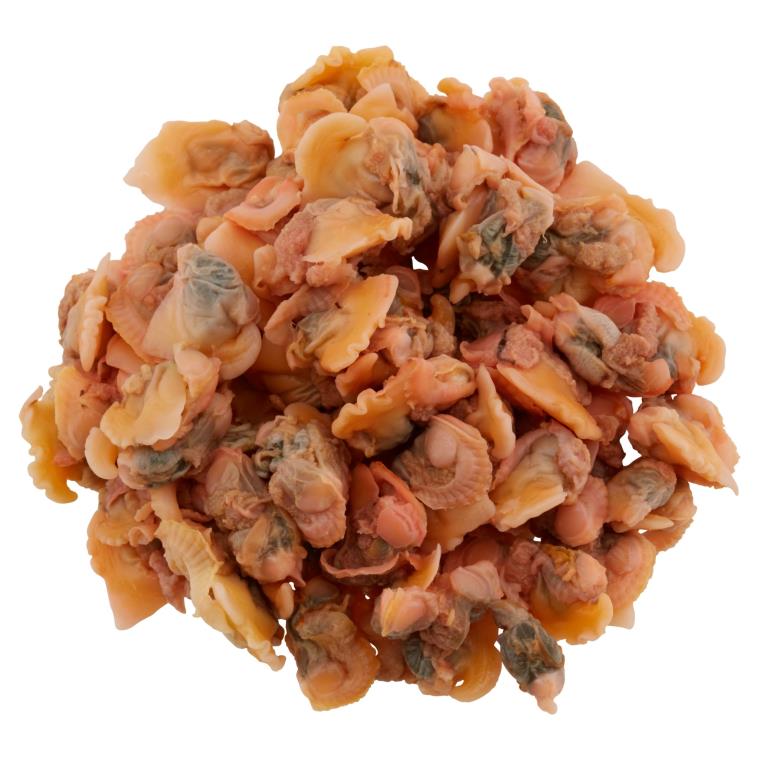 Isi Kerang