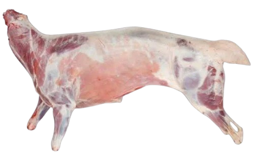 Lamb Carcase